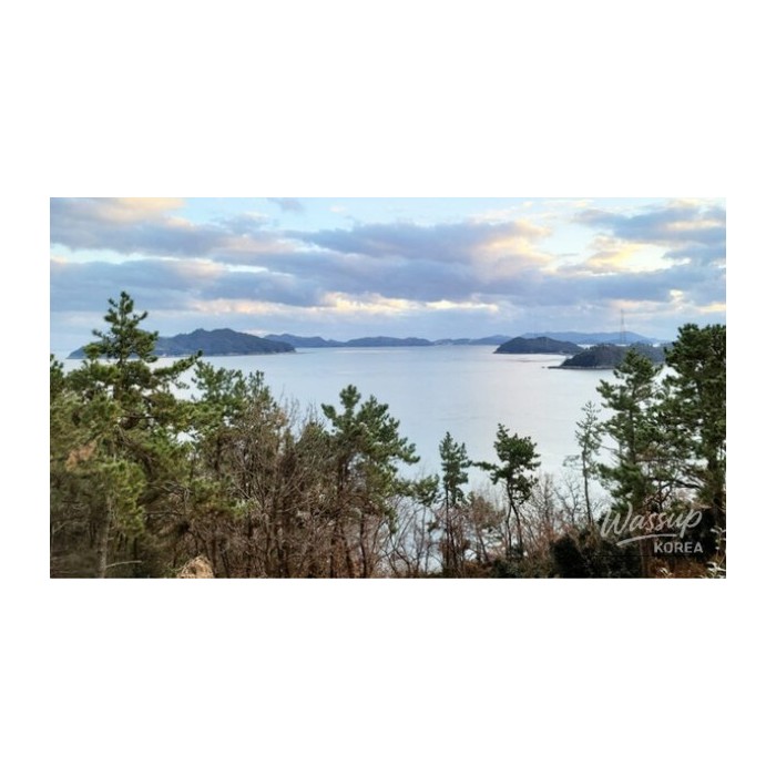 Discovering Wando: A Hidden Gem for Wellness and Nature4246