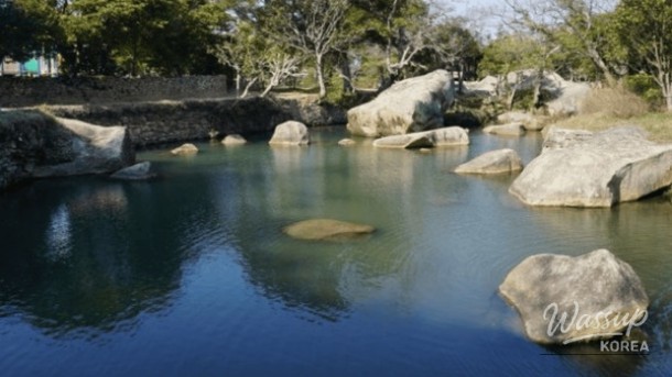 Discover the Hidden Gem of Bogildo Island: A Healing Destination in South Korea_02