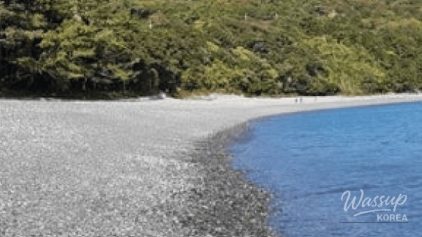 Discover the Hidden Gem of Bogildo Island: A Healing Destination in South Korea_05