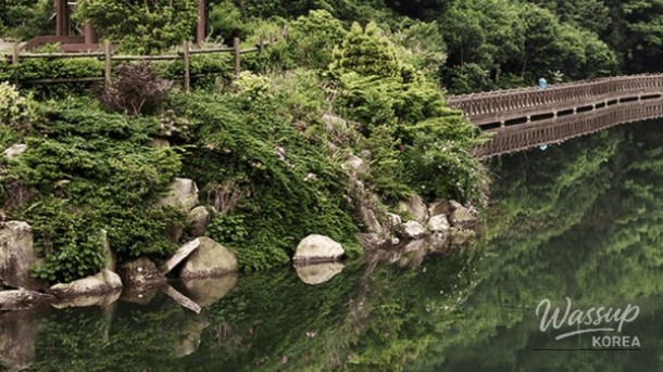 Discover the Hidden Gem of Bogildo Island: A Healing Destination in South Korea_04