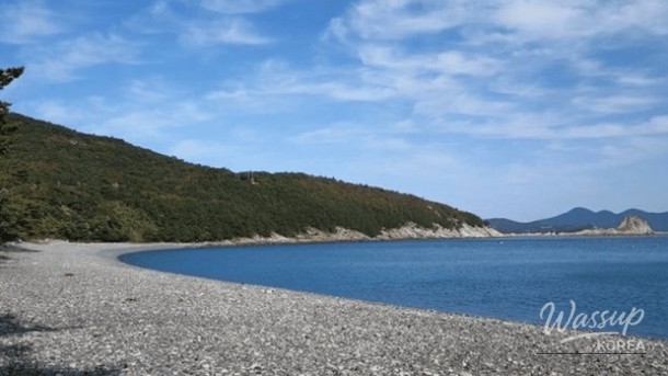 Discover the Hidden Gem of Bogildo Island: A Healing Destination in South Korea_03