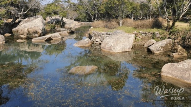 Discover the Hidden Gem of Bogildo Island: A Healing Destination in South Korea_01