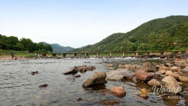 Exploring the Scenic Charm of Seomjin River in Early Summer_05