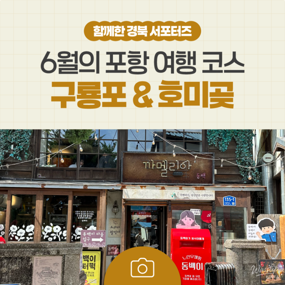 A Relaxing Summer Journey in Pohang: Exploring Guryongpo and Homigot_18