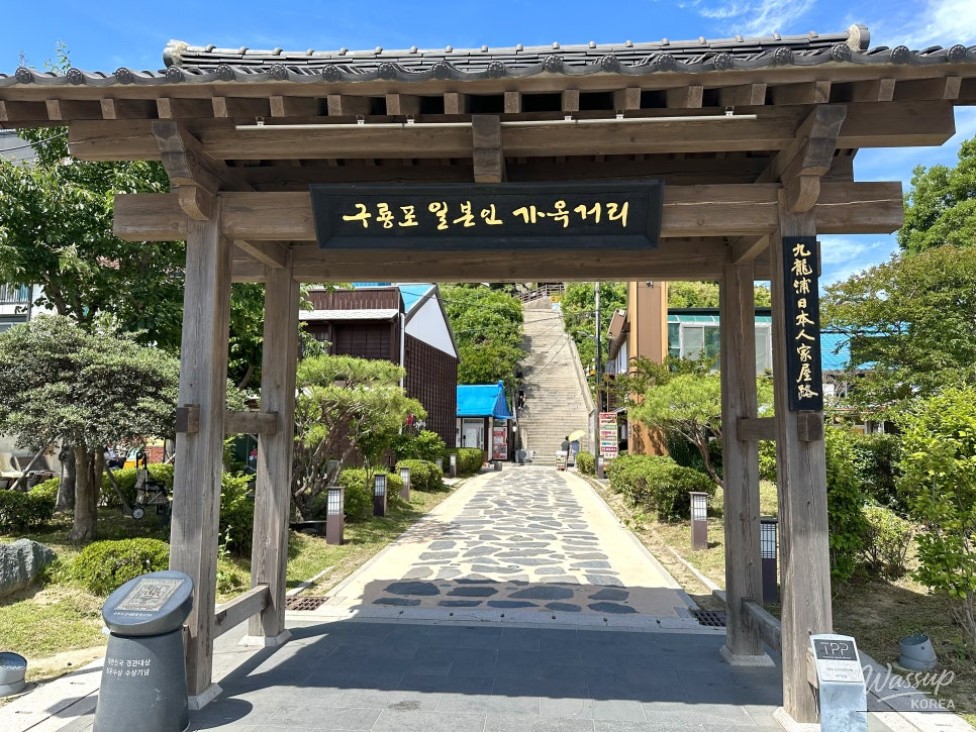 A Relaxing Summer Journey in Pohang: Exploring Guryongpo and Homigot_01
