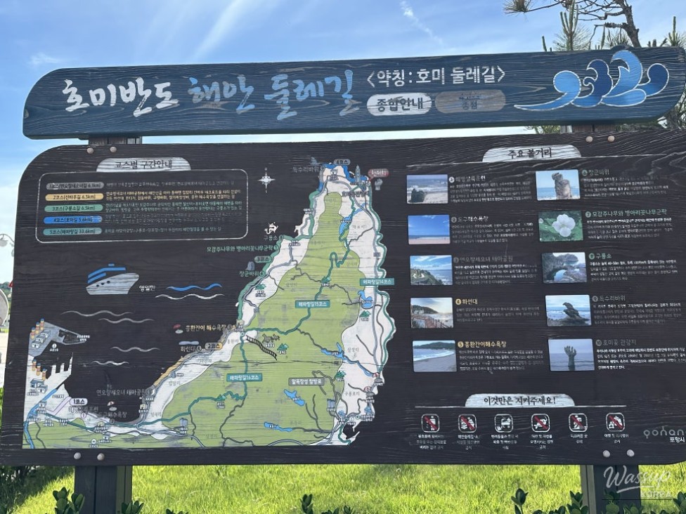 A Relaxing Summer Journey in Pohang: Exploring Guryongpo and Homigot_14