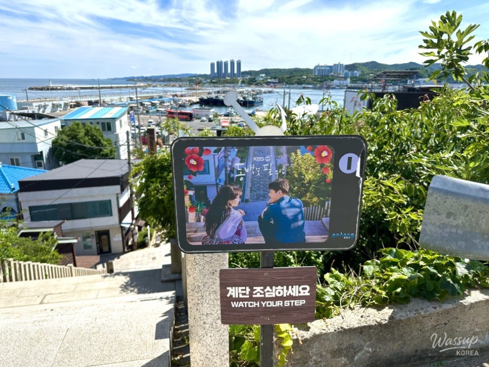 A Relaxing Summer Journey in Pohang: Exploring Guryongpo and Homigot_07