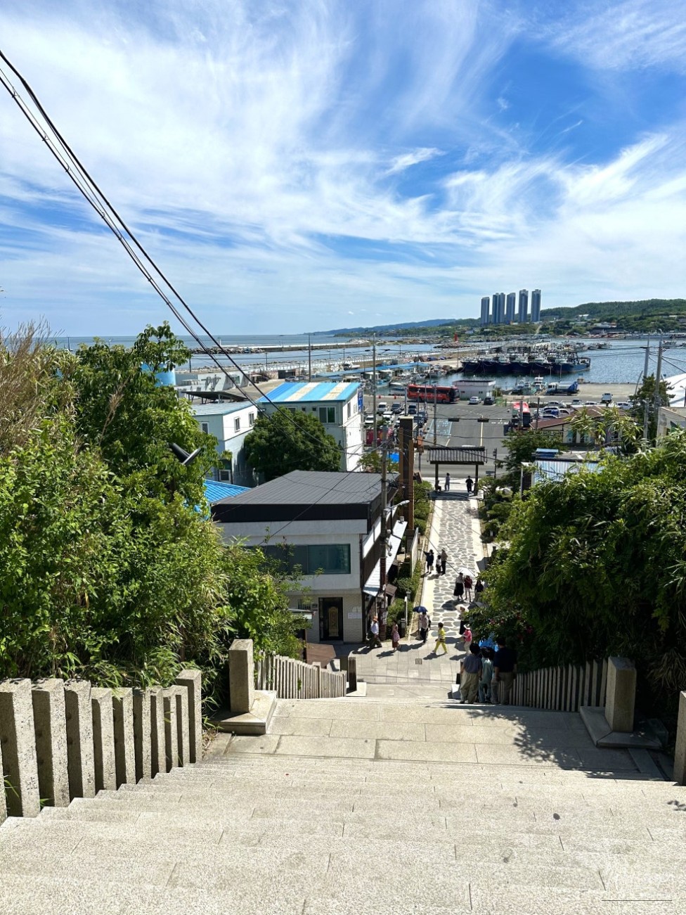 A Relaxing Summer Journey in Pohang: Exploring Guryongpo and Homigot_06