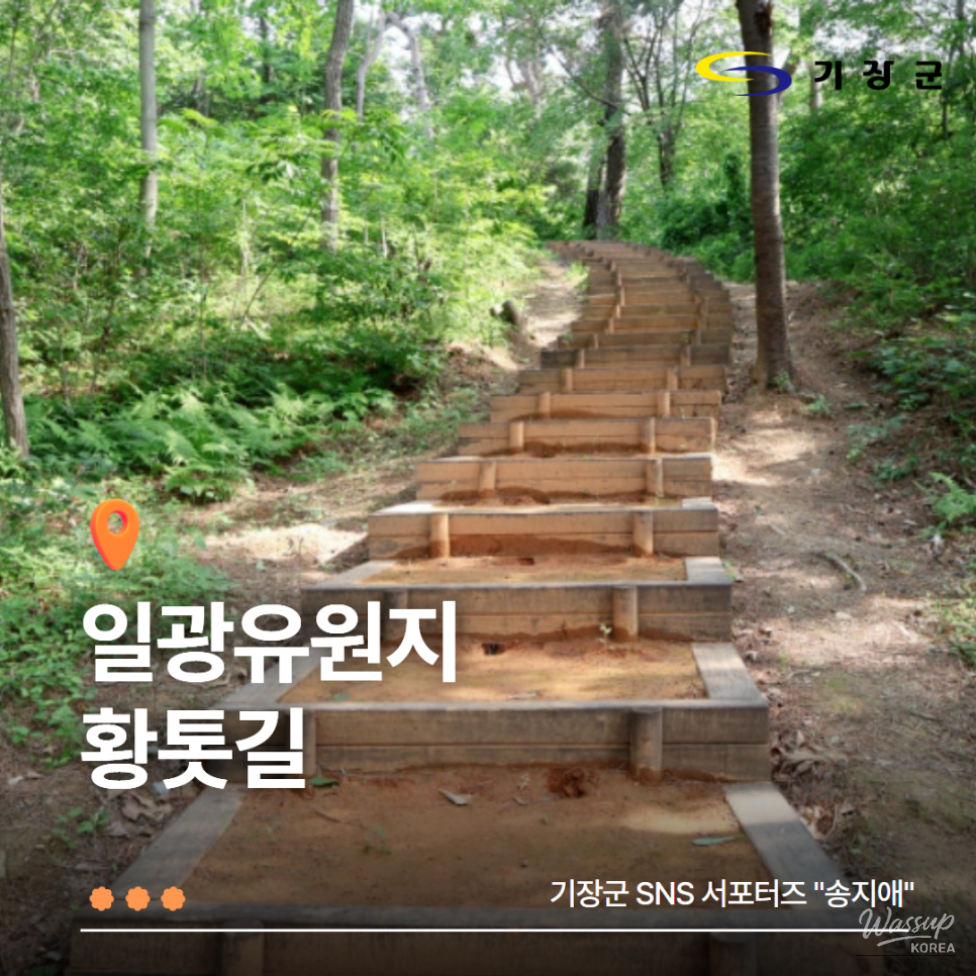 Exploring the Healing Paths of Ilgwang Tourist Site_01