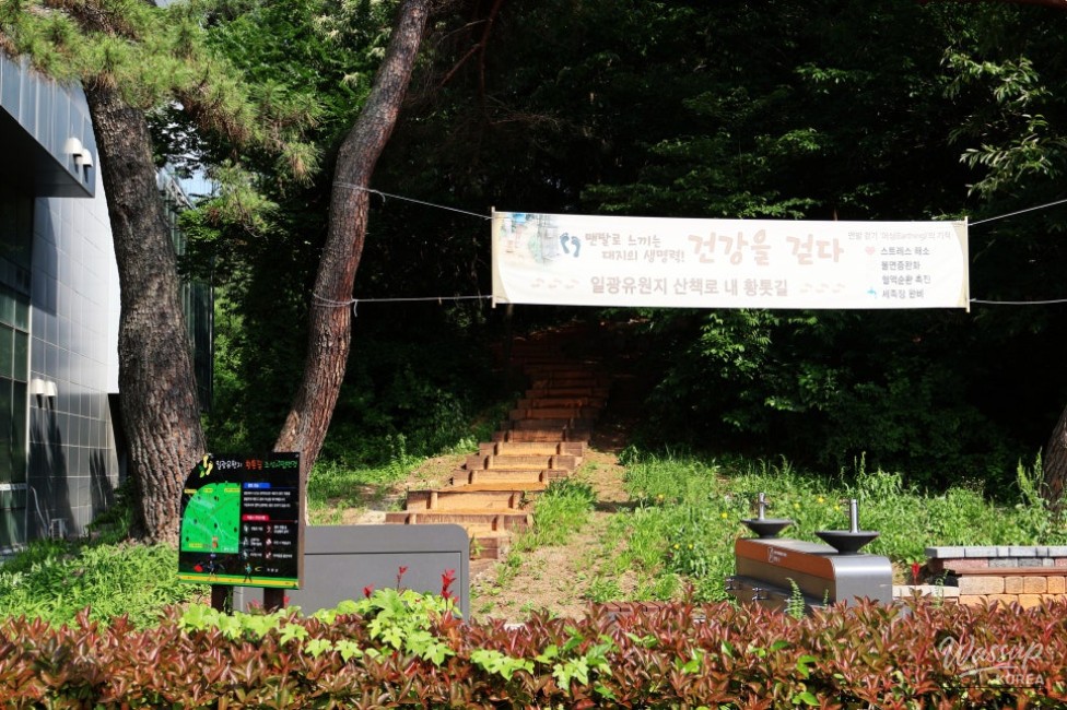 Exploring the Healing Paths of Ilgwang Tourist Site_03