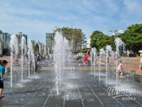 Exploring the Singing Fountain at Ilsan Lake Park: A Summer Night Delight_03
