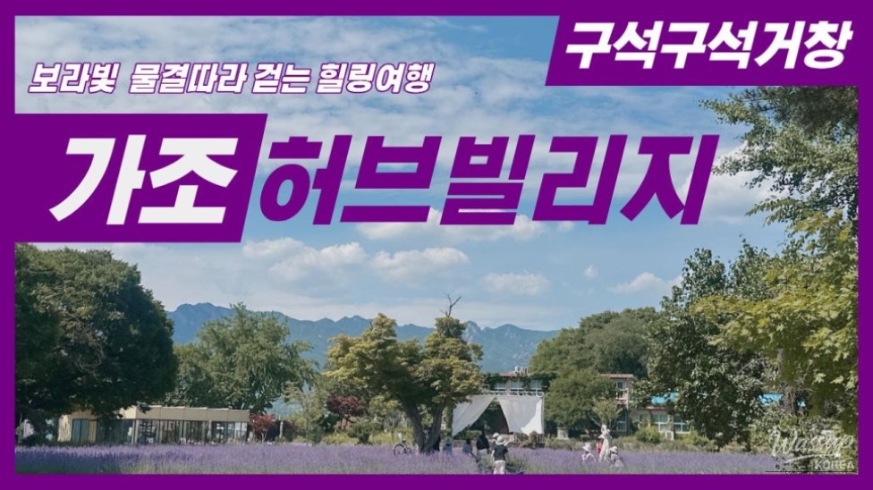 A Lavender Dream at Geochang Herb Village_01