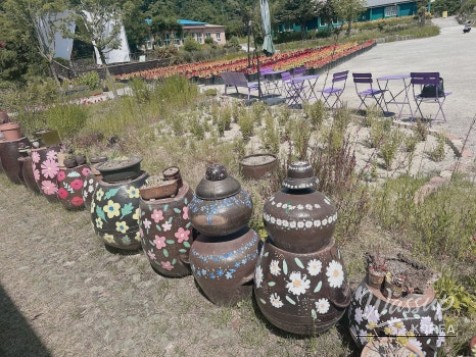 A Lavender Dream at Geochang Herb Village_03