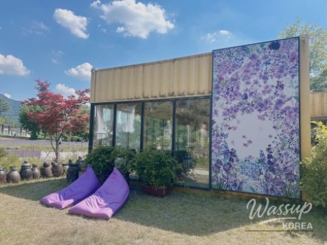 A Lavender Dream at Geochang Herb Village_02