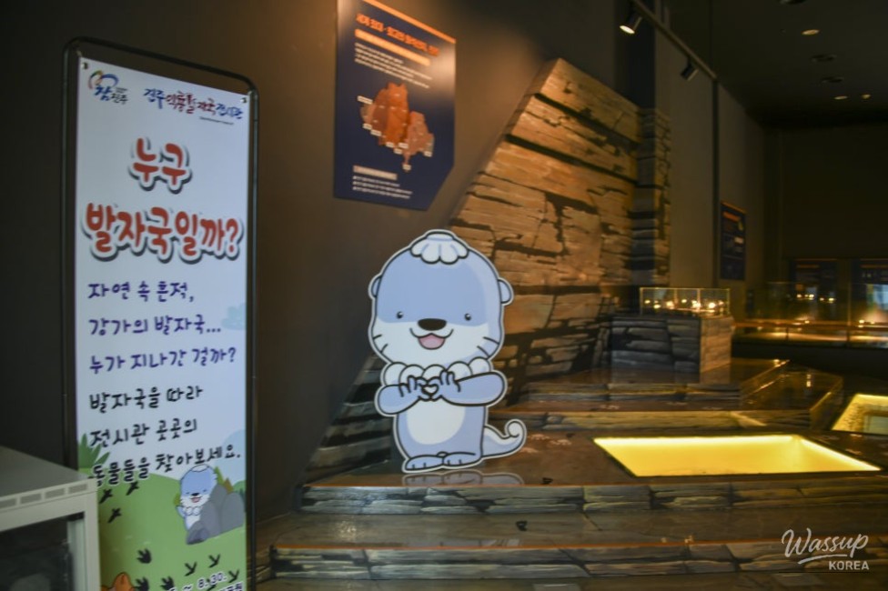 Exploring the Pterosaur Footprints Exhibition in Jinju_04