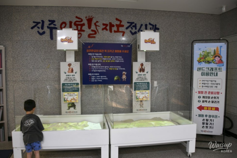 Exploring the Pterosaur Footprints Exhibition in Jinju_19