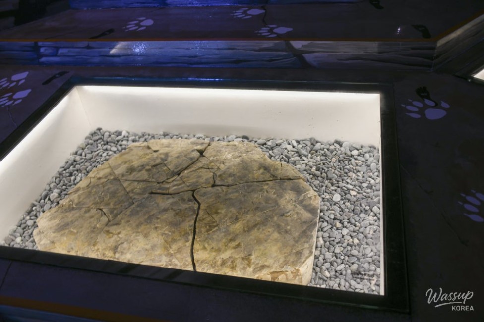 Exploring the Pterosaur Footprints Exhibition in Jinju_05