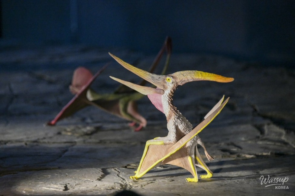 Exploring the Pterosaur Footprints Exhibition in Jinju_13