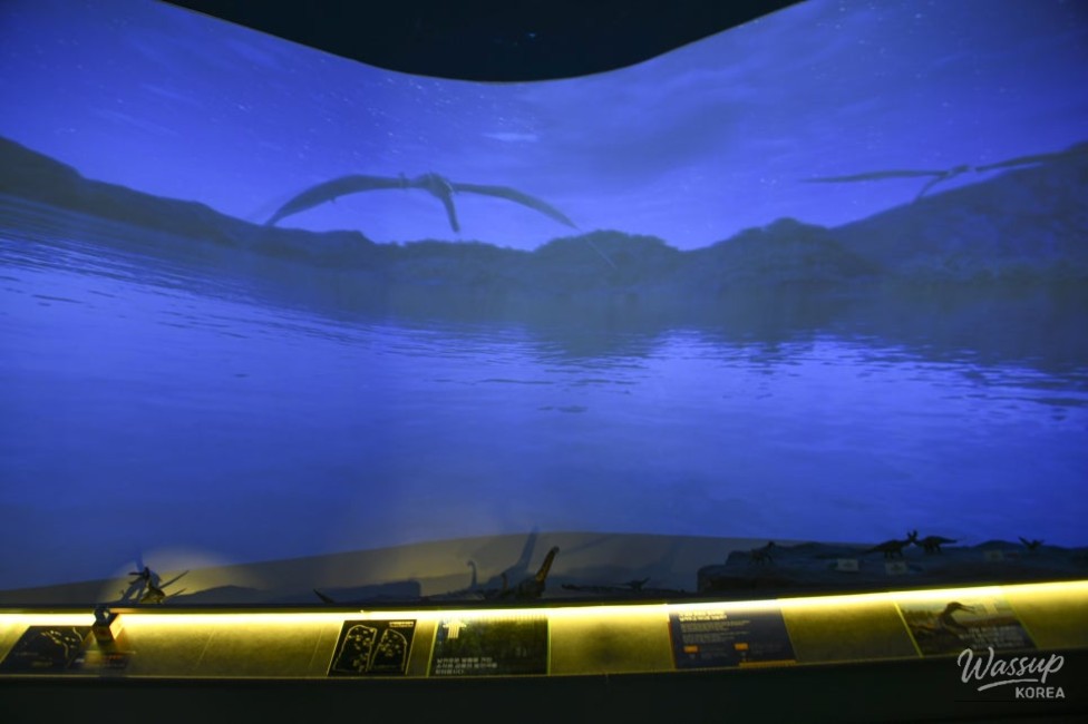Exploring the Pterosaur Footprints Exhibition in Jinju_06