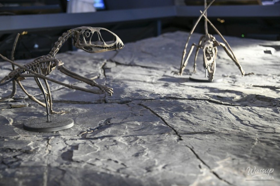 Exploring the Pterosaur Footprints Exhibition in Jinju_11