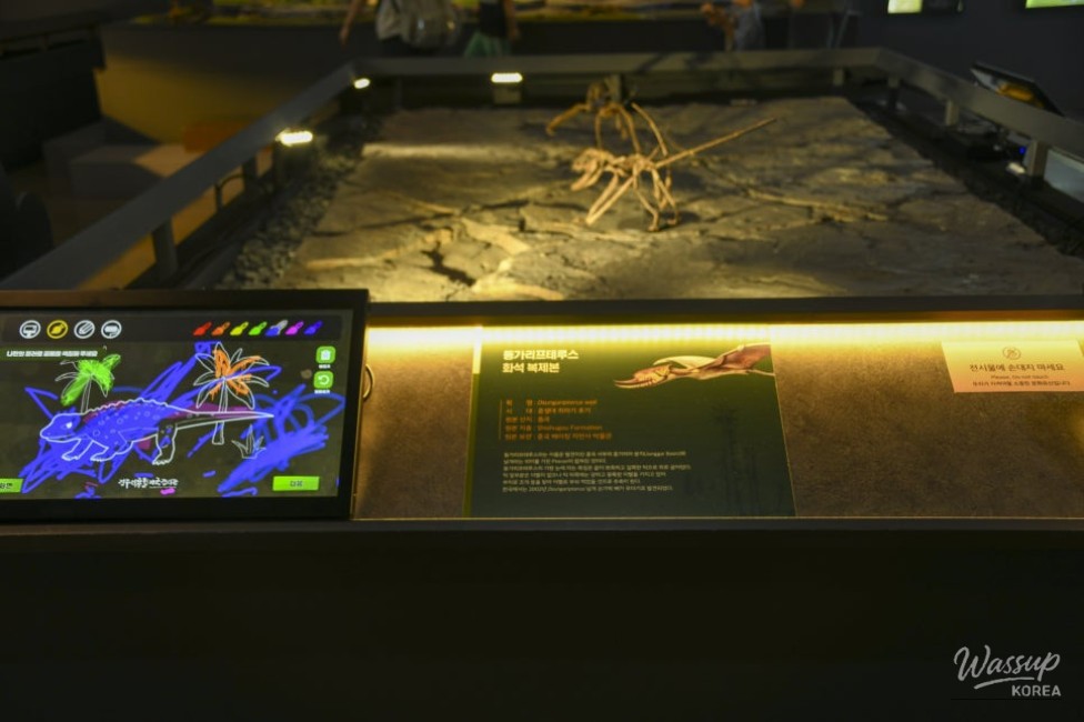 Exploring the Pterosaur Footprints Exhibition in Jinju_12