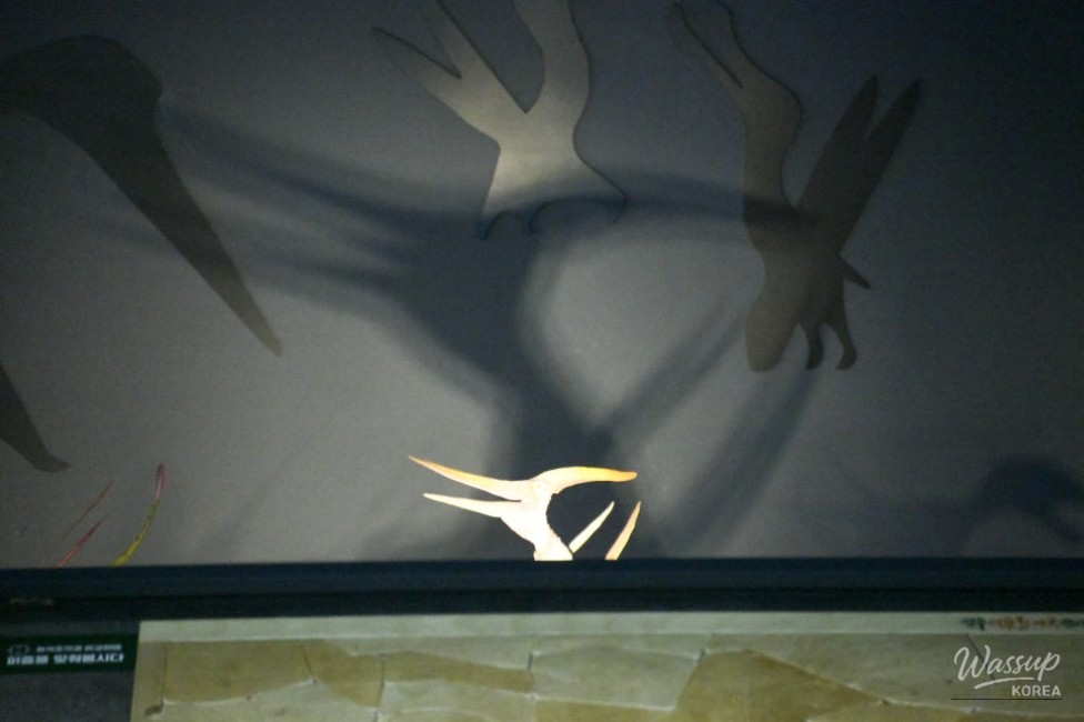 Exploring the Pterosaur Footprints Exhibition in Jinju_22
