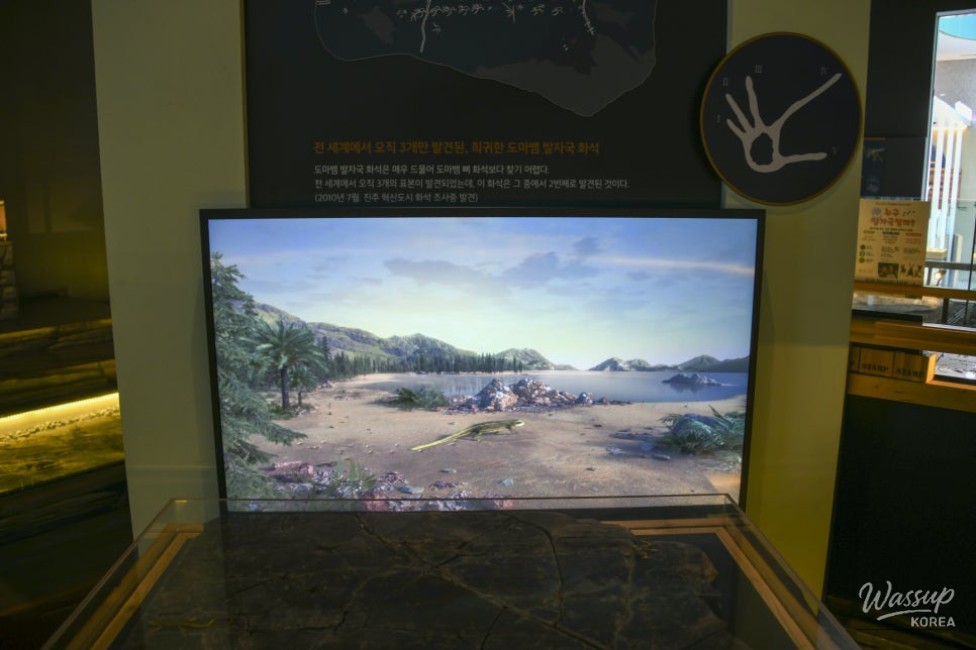Exploring the Pterosaur Footprints Exhibition in Jinju_07
