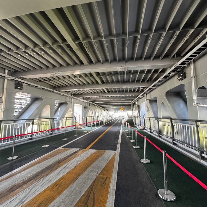 Exploring the Unique Iung Bridge in Sejong City416