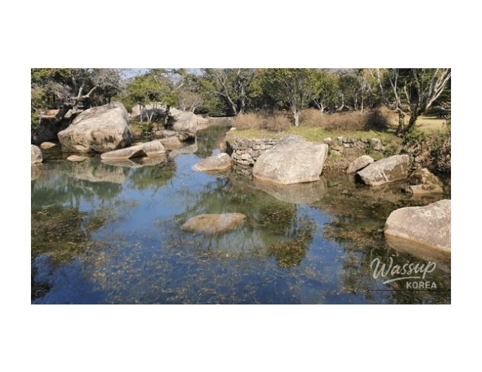 Discover the Hidden Gem of Bogildo Island: A Healing Destination in South Korea float