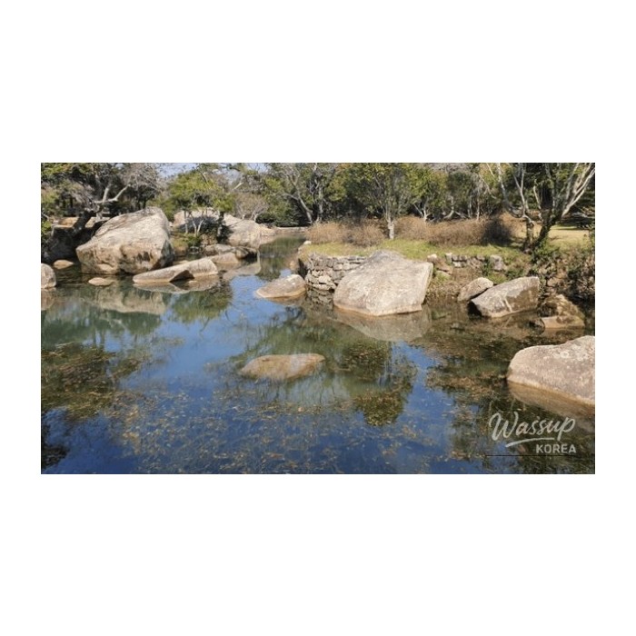Discover the Hidden Gem of Bogildo Island: A Healing Destination in South Korea4267