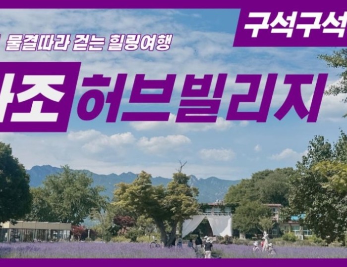 A Lavender Dream at Geochang Herb Village float