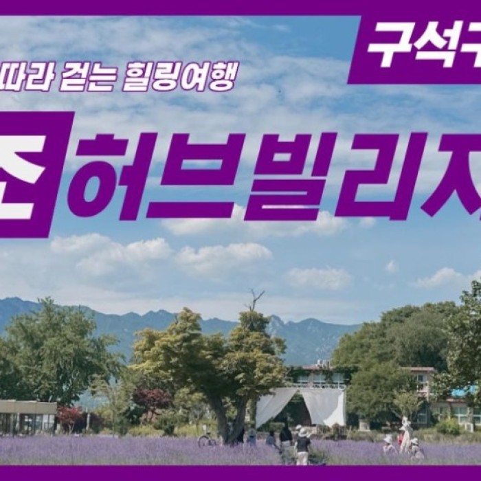 A Lavender Dream at Geochang Herb Village4277