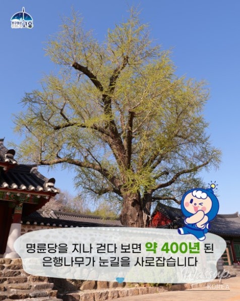 Discovering the Historic Gohung Hyanggyo_06