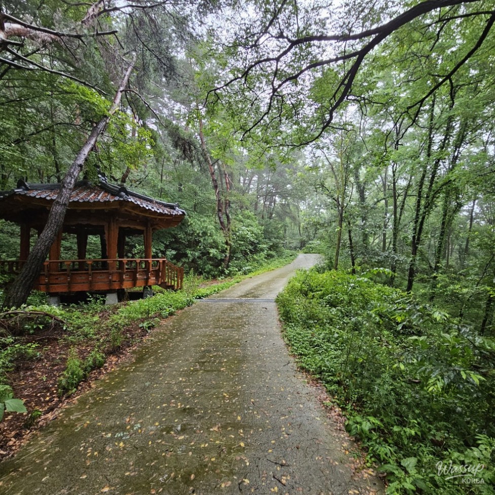 Healing Journey at Sosunam Healing Forest_03