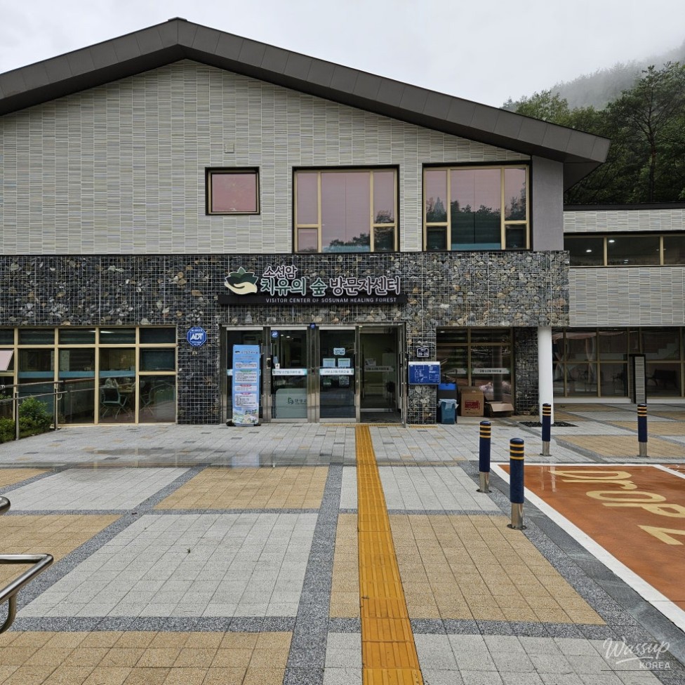 Healing Journey at Sosunam Healing Forest_04