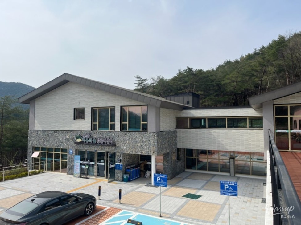 Healing Journey at Sosunam Healing Forest_02