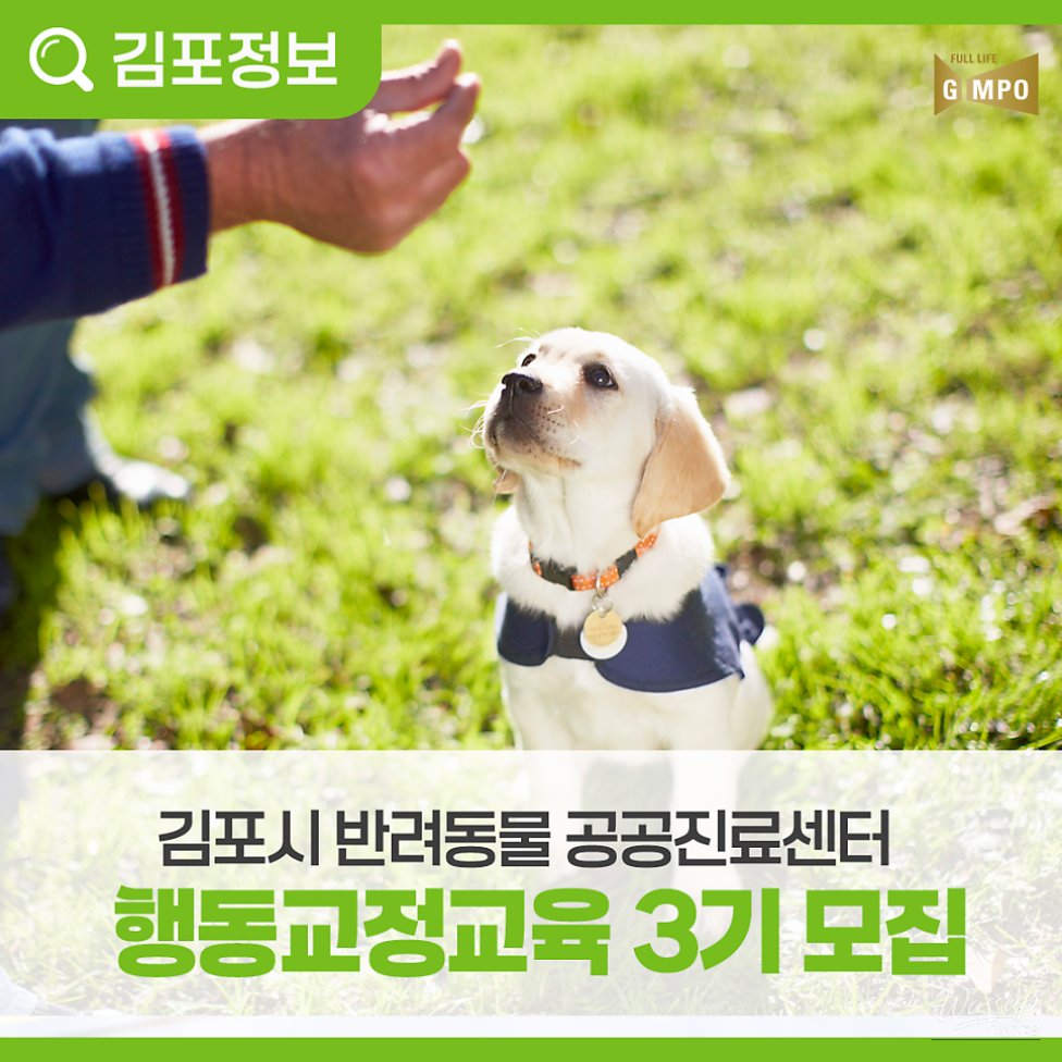 Enrollment for Dog Behavior Correction Training in Gimpo City_02
