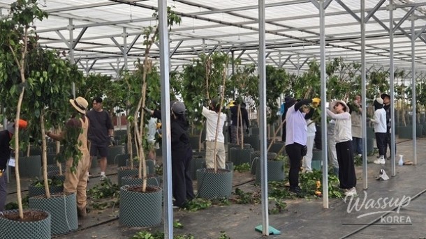Shinan County's Commitment to Coffee Industry Development_02
