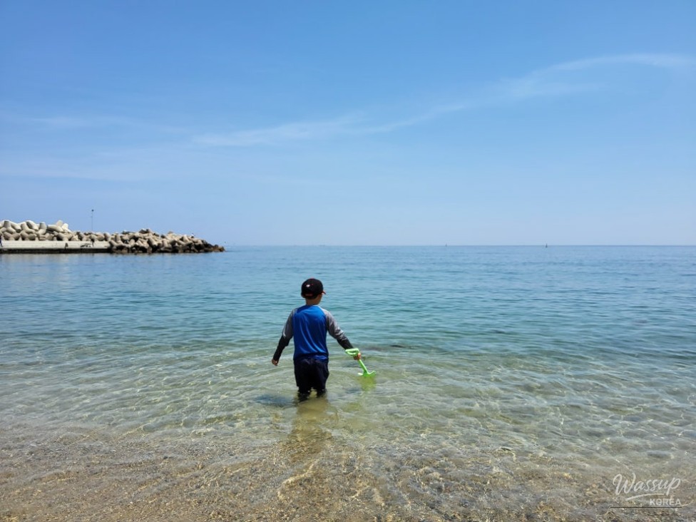 Discover the Serene Obo Beach in Yeongdeok_08