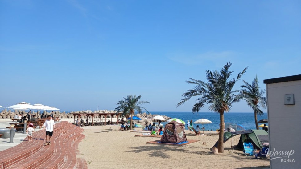 Discover the Serene Obo Beach in Yeongdeok_02