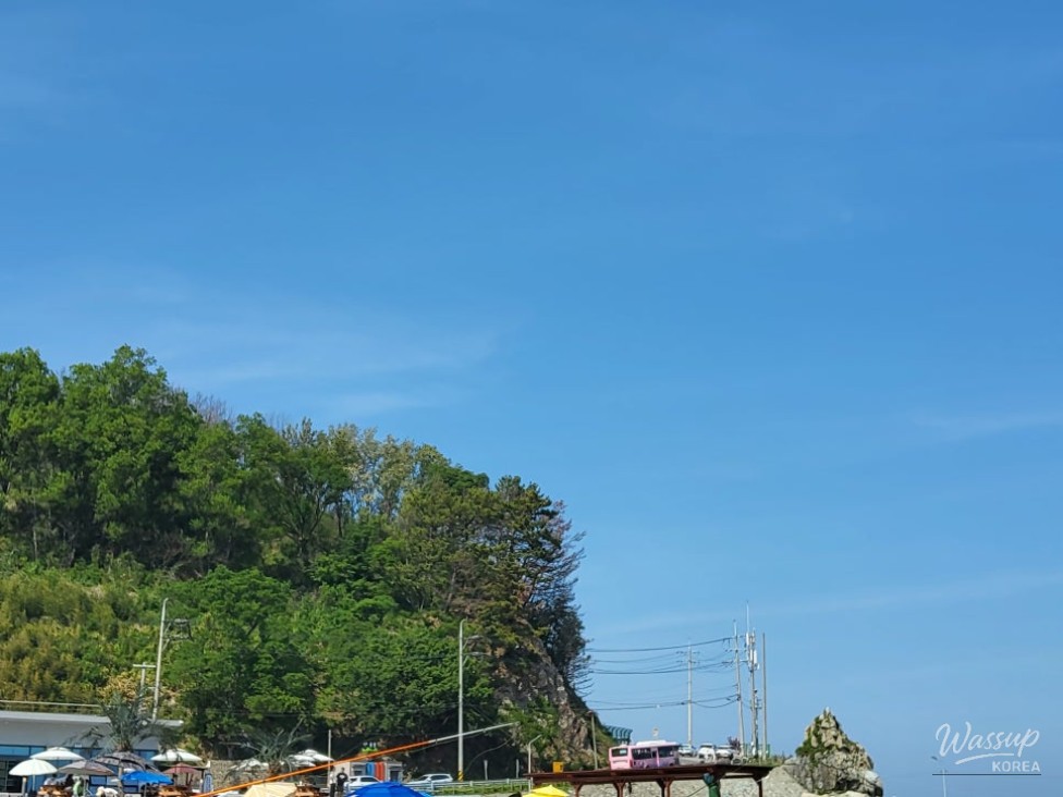 Discover the Serene Obo Beach in Yeongdeok_07