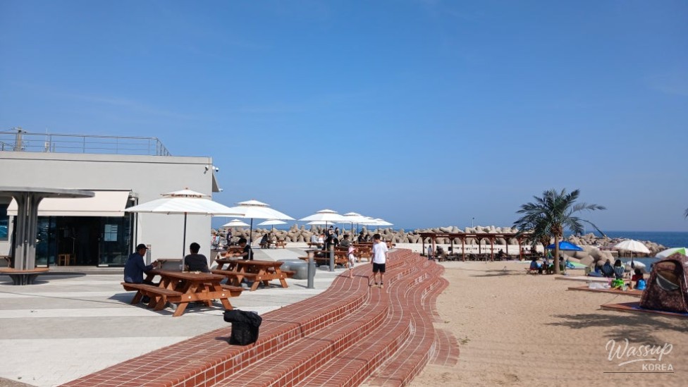 Discover the Serene Obo Beach in Yeongdeok_14