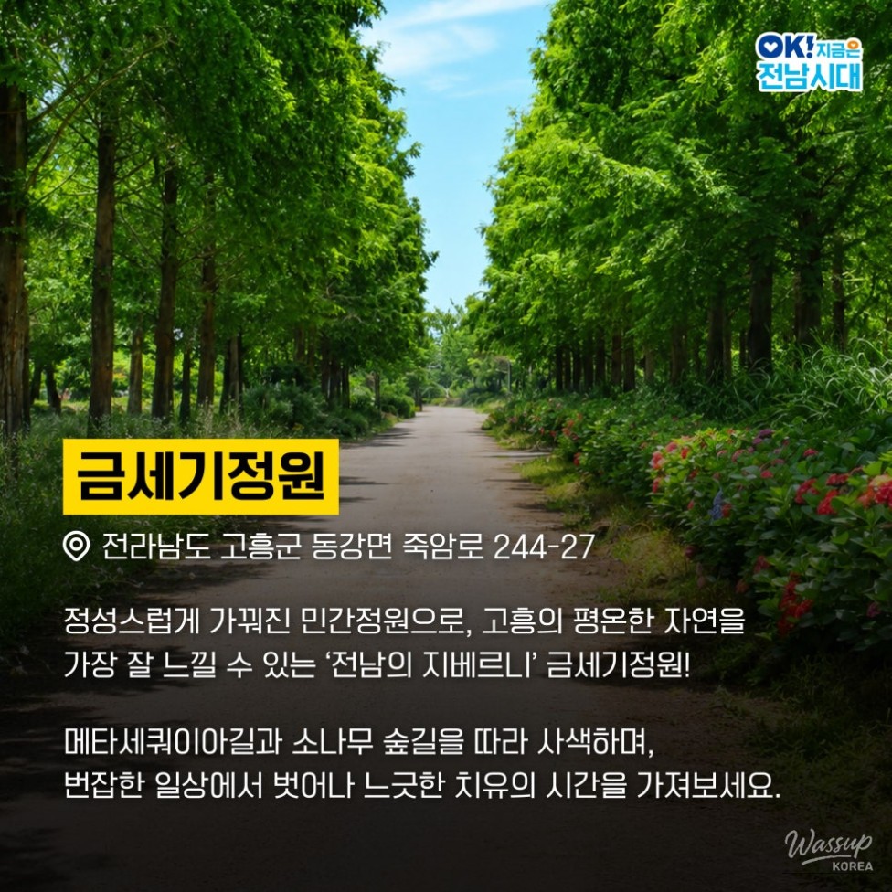 Embrace Slow Travel: A Journey in Goheung_03
