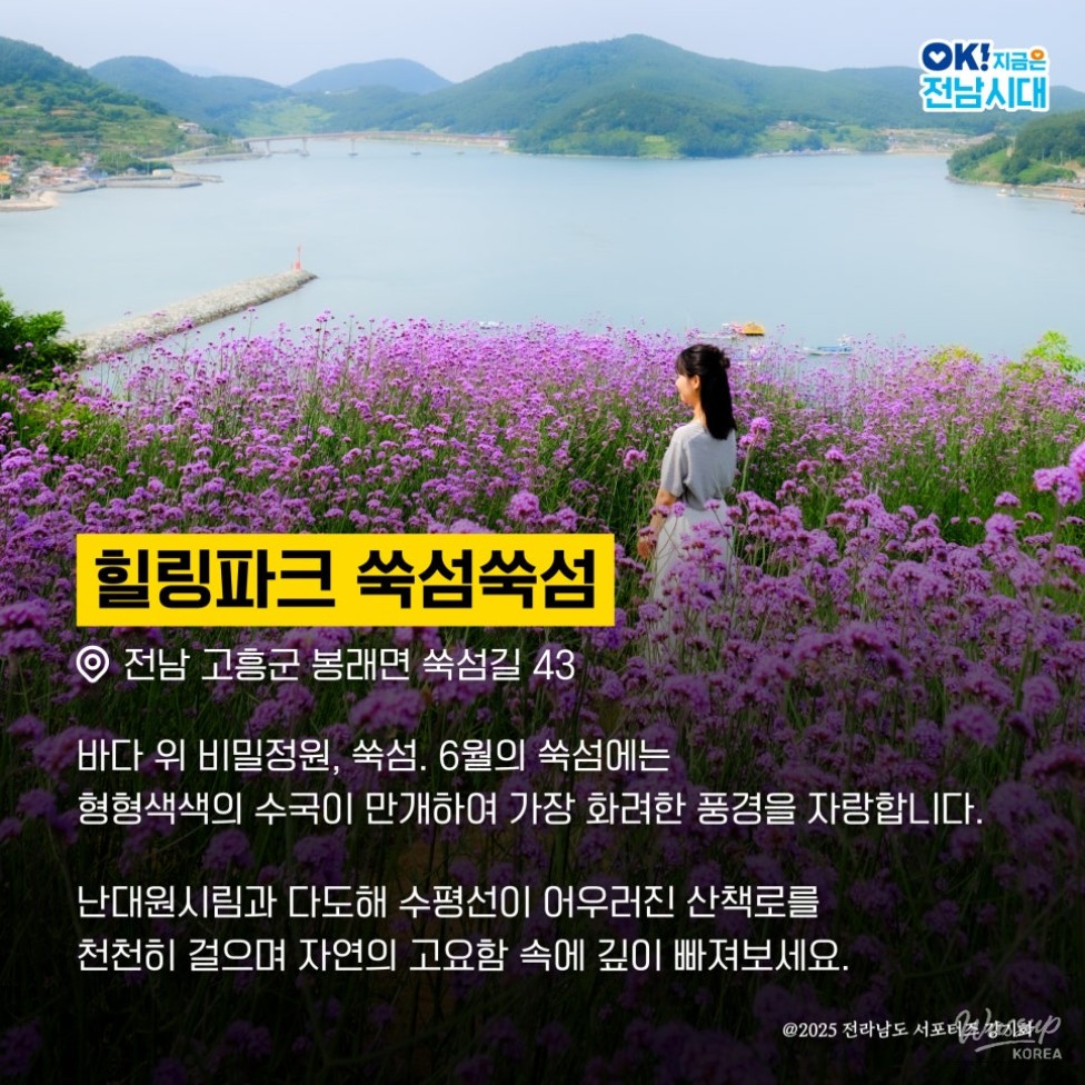Embrace Slow Travel: A Journey in Goheung_02