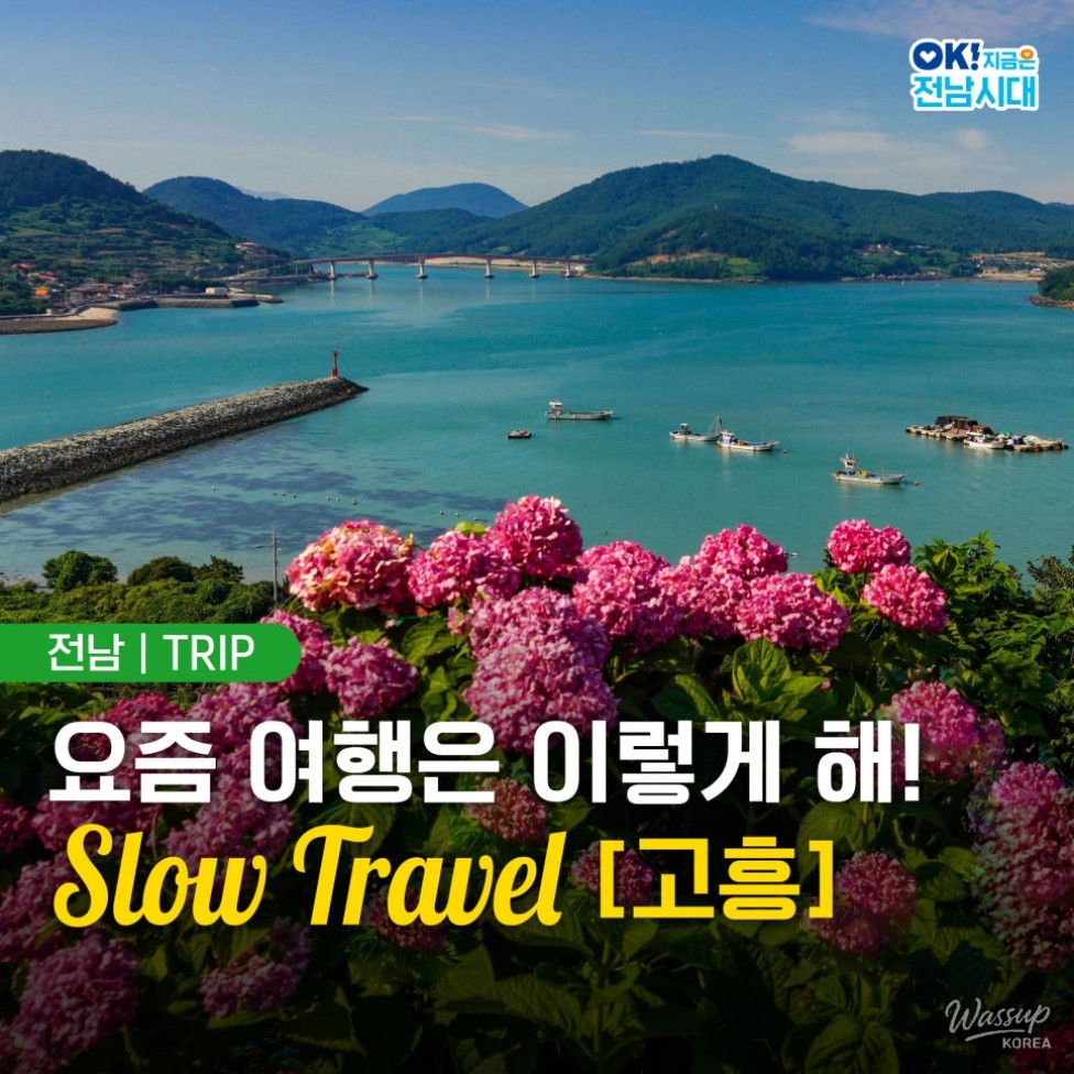 Embrace Slow Travel: A Journey in Goheung_01