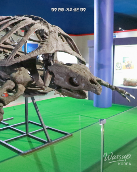 Explore the Exciting Gyeongju Natural History Museum_06