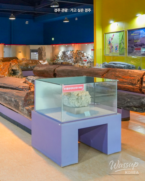Explore the Exciting Gyeongju Natural History Museum_04