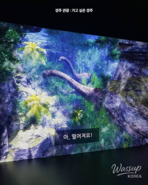 Explore the Exciting Gyeongju Natural History Museum_09