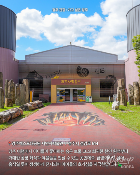Explore the Exciting Gyeongju Natural History Museum_02