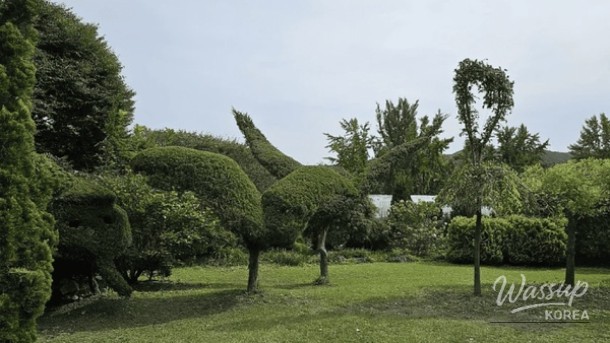 Discover the Serenity of Yulbom Botanical Garden_01